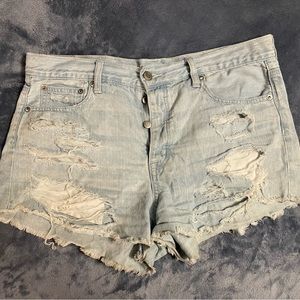 American Eagle Hi Rise Festival Size 10 Shorts